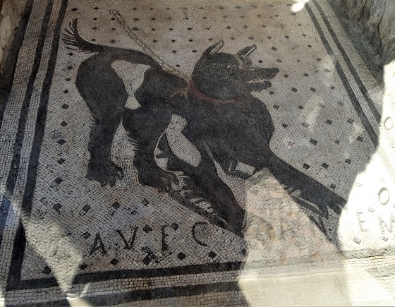 Pompeii_Dog